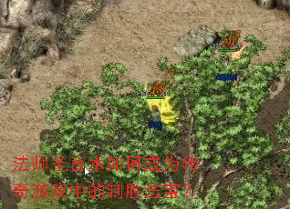 ��ʦʥ������γ�Ϊ������Ϸ�е���ʤ������