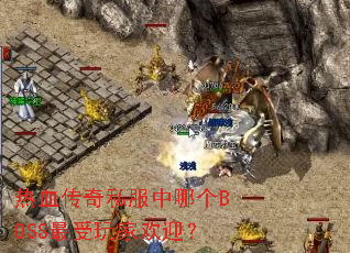 ��Ѫ����˽�����ĸ�BOSS������һ�ӭ��