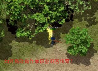 ��θ�Ч������ְҵ�̿ʹ��棿