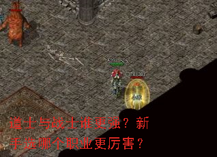 道士与战士谁更强?新手选哪个职业更厉害? 道士与战士谁更强?新手选哪个职业更厉害?