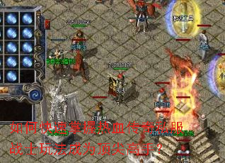 ��ο���������Ѫ����˽��սʿ�淨��Ϊ������֣�