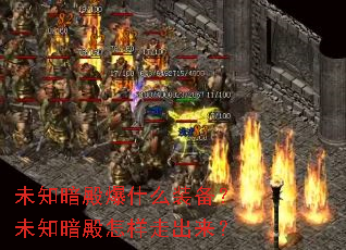 δ֪���ʲôװ����δ֪���������߳�����