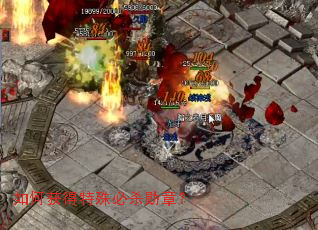 如何获得特殊必杀勋章? 如何获得特殊必杀勋章?