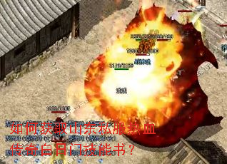 ��λ�ȡɽ��˽����Ѫ��������ż����飿