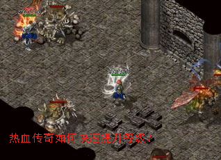 ��Ѫ������ο��������ȼ���