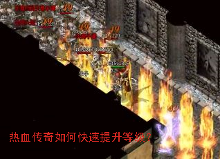 ��Ѫ������ο��������ȼ���