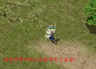 微变传奇法师几级能带五个宝宝? 微变传奇法师几级能带五个宝宝?