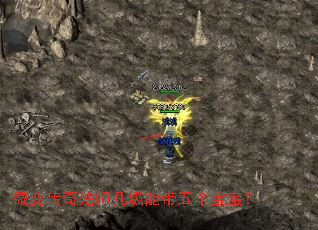 微变传奇法师几级能带五个宝宝? 微变传奇法师几级能带五个宝宝?