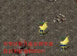 传奇SF新开服如何快速找到刷新福利BOSS? 传奇SF新开服如何快速找到刷新福利BOSS?