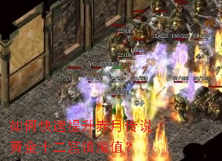 ��ο����������´�˵�ƽ�ʮ������ħֵ��