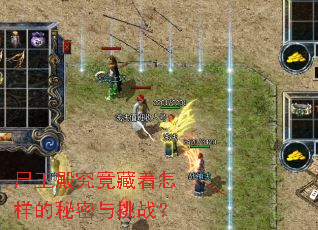 ʬ�����������������������ս��