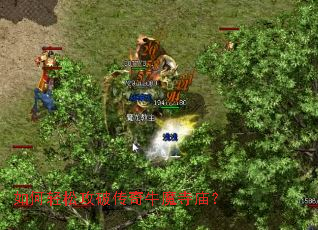 如何轻松攻破传奇牛魔寺庙? 如何轻松攻破传奇牛魔寺庙?