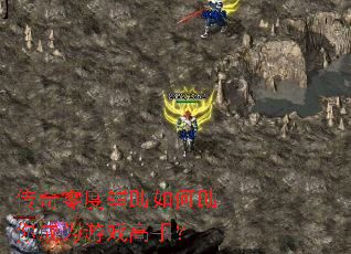 ������ȸ�����������Ϊ��Ϸ���֣�