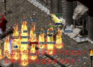 �ϻ�����˽������������ô�棿��δ�С�׿��ٳɳ�Ϊ���֣�