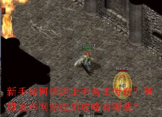 ������ο������ֺϻ����棿Ӣ�۷�����վʹ�ù�������Щ��