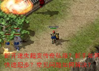 �¿���ʧ���䴫��˽����������ο����𲽣�����������ν����