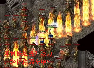 ��ο�������ս�������ɳư�ȫ����