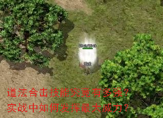 �����ϻ����ܾ����ж�ǿ��ʵս����η������������