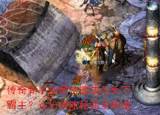 ����������ο��ٳ�Ϊ���°�������ݹ����ؼ�ȫ֪��