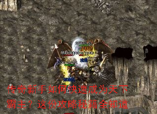 ����������ο��ٳ�Ϊ���°�������ݹ����ؼ�ȫ֪��