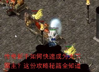 ����������ο��ٳ�Ϊ���°�������ݹ����ؼ�ȫ֪��