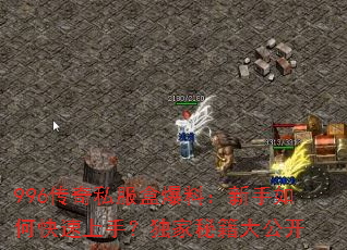 996����˽���б��ϣ�������ο������֣������ؼ��󹫿�