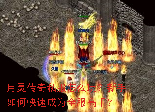 ���鴫��˽����ô�棿������ο��ٳ�Ϊȫ�����֣�