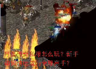 ���鴫��˽����ô�棿������ο��ٳ�Ϊȫ�����֣�