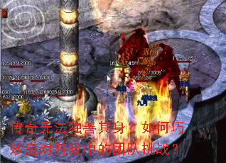 �����޷������������������Ӧ����Ϸ�е��Ŷ���ս��