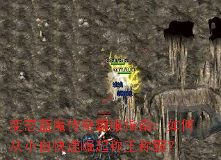 ��̬��ħ����Է�ָ�ϣ���δ�С�׿�����������ưԣ�