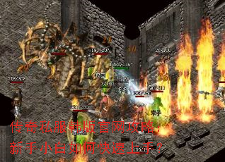 ����˽������������ԣ�����С����ο������֣�