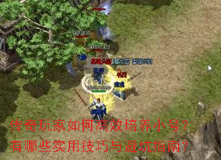 ���������θ�Ч����С�ţ�����Щʵ�ü�����ܿ�ָ�ϣ�