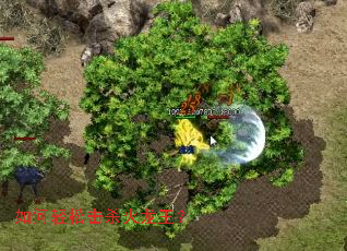 ������ɻ�ɱ��������