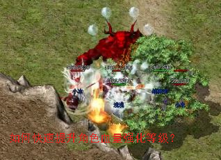 如何快速提升角色血量强化等级? 如何快速提升角色血量强化等级?