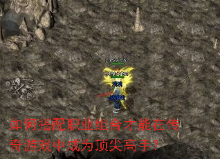 ��δ���ְҵ��ϲ����ڴ�����Ϸ�г�Ϊ������֣�