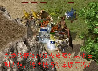 九龙传奇私服终极攻略?从小白到大神,这些技巧你掌握了吗? 九龙传奇私服终极攻略?从小白到大神,这些技巧你掌握了吗?