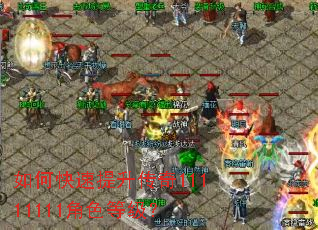 如何快速提升传奇11111111角色等级? 如何快速提升传奇11111111角色等级?
