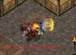 �����ְҵ�ȼ�����ο��ٺϳɣ�