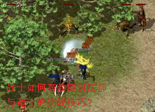 战士如何有效应对法师与道士的实战技巧? 战士如何有效应对法师与道士的实战技巧?