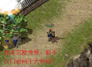 �ұ���Ĭ���棺�������ű���ʮ�����ʣ�