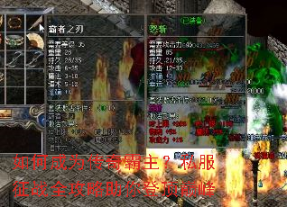 ��γ�Ϊ���������˽����սȫ��������Ƕ��۷�