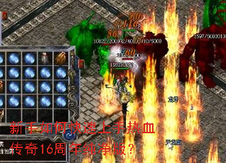 ������ο���������Ѫ����16���괿���棿