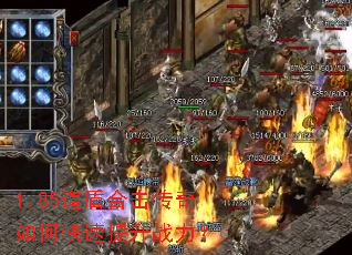 1.85���ܺϻ�������ο�������ս����