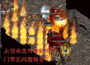 ����ϻ������������ų���������