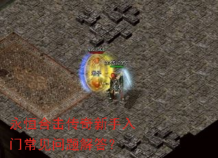 ����ϻ������������ų���������