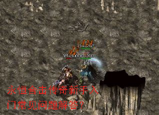 ����ϻ������������ų���������