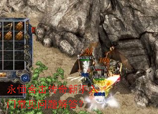 ����ϻ������������ų���������