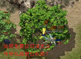 如何免费获取凌天众传奇私服后台权限? 如何免费获取凌天众传奇私服后台权限?