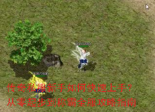 传奇私服新手如何快速上手?从零起步到称霸全服攻略指南 传奇私服新手如何快速上手?从零起步到称霸全服攻略指南