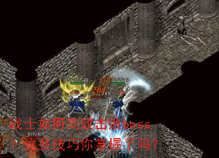 սʿ��θ�Ч����boss����Щ��������������